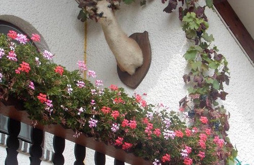 Diepenbeek Bed & Breakfast | gasthof lederhose