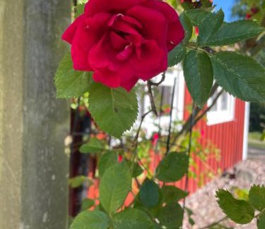 Heberg Villa | Gatans Gård sekelskiftshus