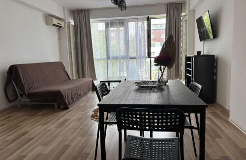 Otopeni Apartment | Gate 255 Airport Self Check-in 10 min from OTP AIRPORT