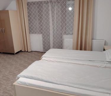 Avram Iancu Cabin | Ge-Lux
