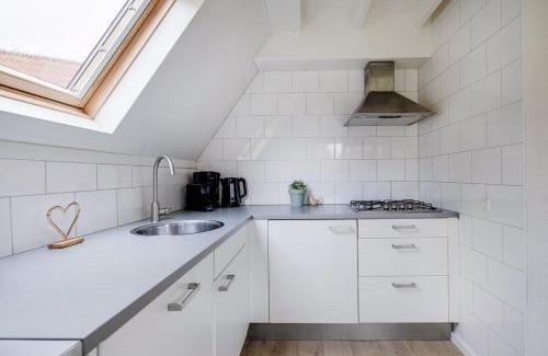 Zwiggelte House | Gele Kwikstaart I Ruime Woning met Omliggende Tuin