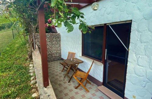 Eberbach Apartment | Gemütliche Wohnung mit Neckarblick