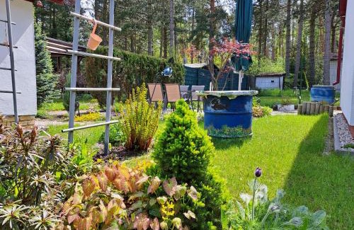 Zschepplin House | gemütlicher Bungalow am Rand der Dübener Heide