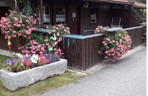 Eppenschlag Apartment | Gemütliches Ferienhaus umrahmt von Wiesen und Wäldern