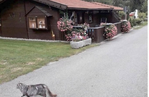 Eppenschlag Apartment | Gemütliches Ferienhaus umrahmt von Wiesen und Wäldern