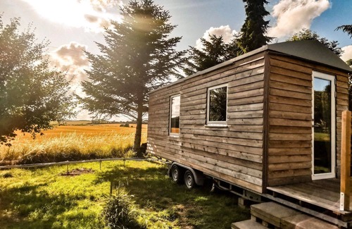 Fitzen House | Gemütliches Tiny Haus Mitten in der Natur