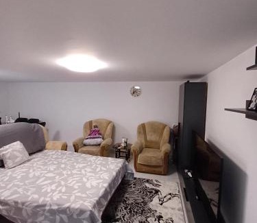 Macin House | Gemini house