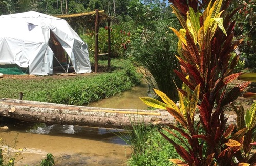 Lacanja Cabin | Geodesic Domes In The Jungle