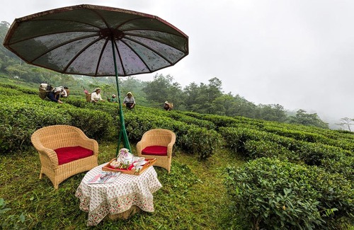 Ging Tea Garden House | Ging Tea House