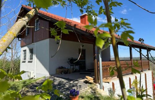Kehidakustany House | Ginkgo House