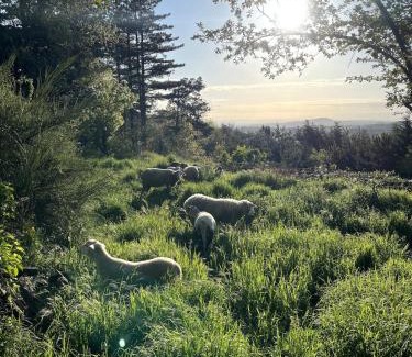 Satillieu House | Gite à la ferme, Domaine Solio