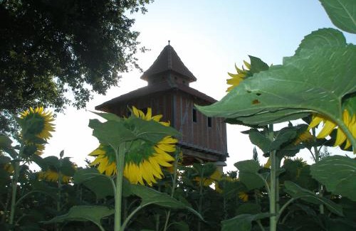 Monlezun Bed & Breakfast | Gite Chambre d'hotes insolite dans un pigeonnier à 5 minutes de Marciac Gers