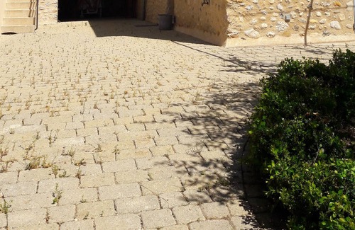 Bras-d'Asse Cottage | GITE ENTIRELY RESTORED AT THE OLD COURT IN SMALL PROVENCAL VILLAGE