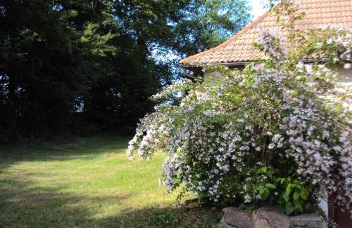 Barrais-Bussolles House | Gite Equipe avec Espace Vert