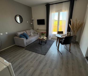 Saint-Blancard Apartment | Gite relais du Château