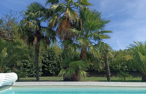 Cauneille House | Gîte with swimming pool pays basque - landes