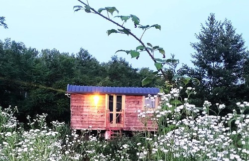 Albairate House | Glamping Casetta sul lago 2