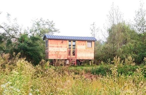 Albairate House | Glamping Casetta sul lago 2