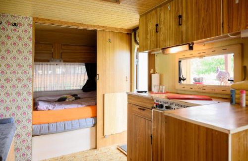 Praprotna Polica Other | GLAMPING HOUSE RANČ LUŽE