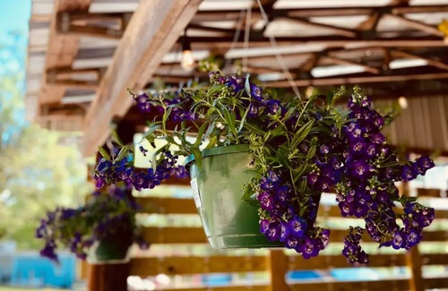 Double Springs RV Rental | Glamping Tent near the Bankhead National Forest