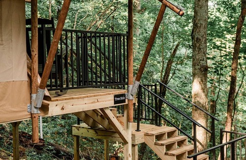 Knoxville RV Rental | GlampKnox - Tree Solo