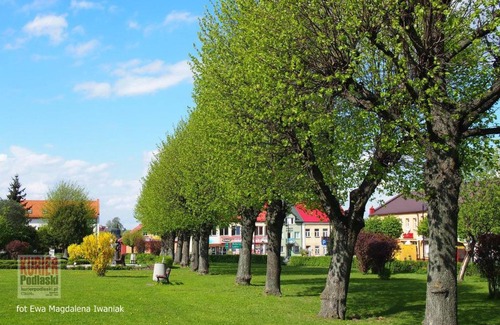 Siemiatycze Bed & Breakfast | Gościniec Stary Rynek