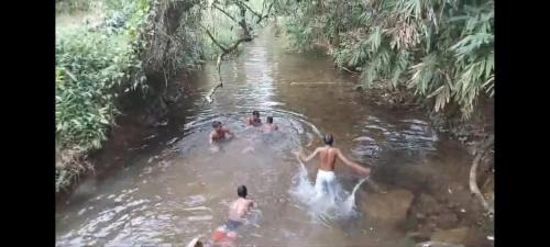 Eheliyagoda Resort | Golden Leaf Rainforest Eco Village