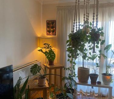 Shurtah al-Dakhlah Apartment | Gorgeous 2 bedroom apartment in Mohandseen