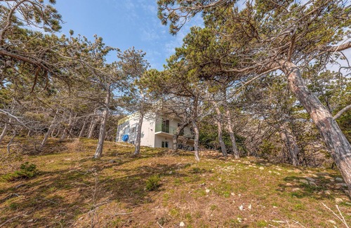 Bosana Apartment | Gorgeous apartment in Novalja