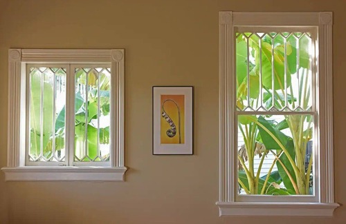 Audubon House | Gorgeous Audubon Park Home Ideal for Mardi Gras!