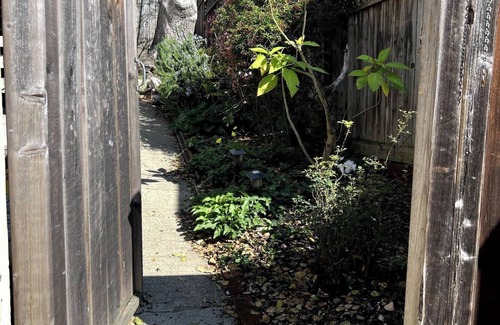 Berkeley Hills Apartment | Gorgeous studio with WiFi in Berkeley