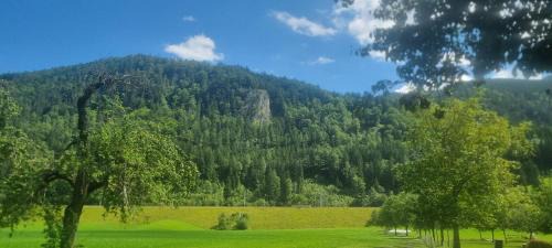 Spital am Pyhrn House | Gorshof