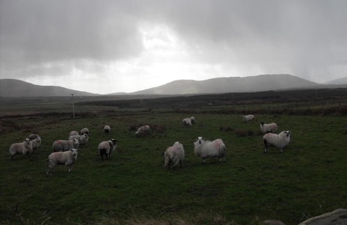 Ballydavid Bed & Breakfast | Gort a Phump