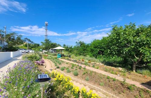 Goseong-gun House | Goseong Maris Pension
