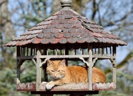 Wdzydze Kiszewskie House | Gospodarstwo Agroturystyczne Kozłowiec