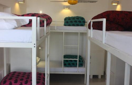 Panch Batti Hostel | goSTOPS Jaipur Lite