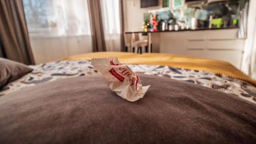 Brand-Erbisdorf Apartment | GottwaldHaus - Apartment