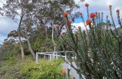 Blackheath House | Govetts Leap lookout cottage