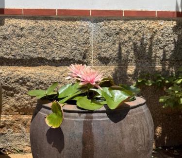 Shuitou Village House | Grace Homestay 54