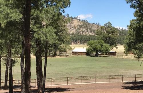 Parks House | Grand Canyon 1bd Loft at Historic Wrigley Ranch-Suite with Horseback Riding, Hiking