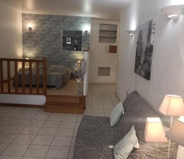 Romans-sur-Isere Apartment | Grand Studio meublé chez COCO