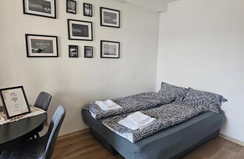Tirgu Mures Apartment | Grand Urban Studio