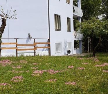 Crespano del Grappa Apartment | GrappaLand