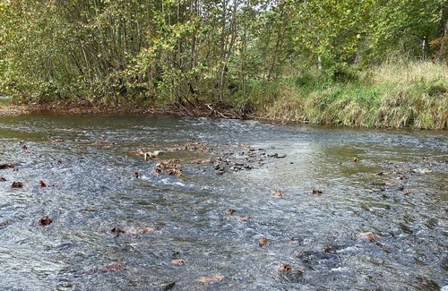 Austin House | Great fishing, snowmobile and hunting cabin