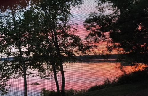 Osceola Cabin | Great fishing & sunset views, lakeside cabins joined by porch. 1 hour from TC