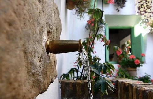 San Basilio Apartment | Green Apartment Ensuite with Shower-Balcony