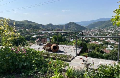 Goris House | Green House