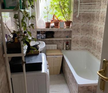 Oliwa Apartment | Green House Oliwa