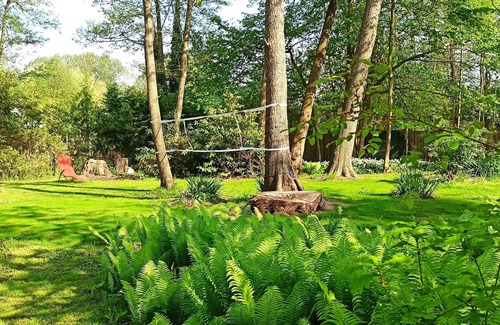 Schonberg House | Green oasis