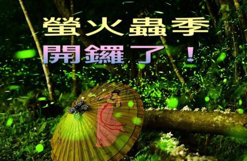 Nanzhuang Bed & Breakfast | Green Shine B&B